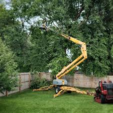 Best Lawn Fertilization  in Cayce, SC